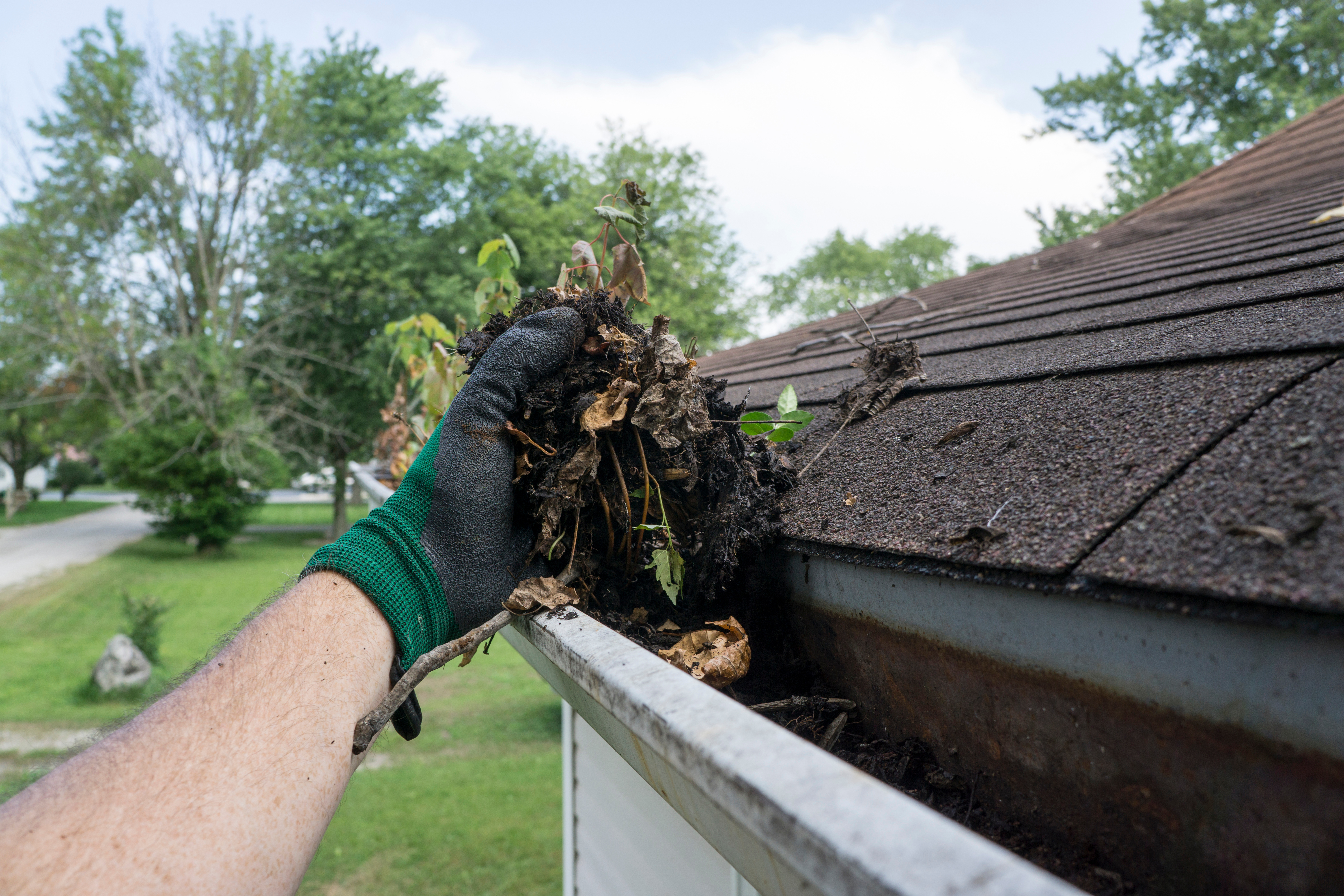 A man's cleaning leaves out of a gutter with his gloved hand. 