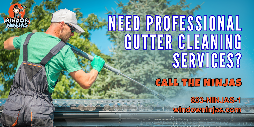 gutter cleaning reasons