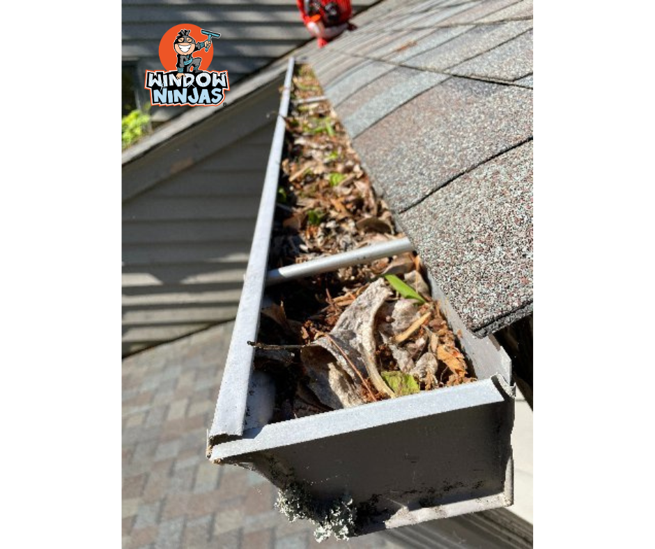 gutter cleaning services