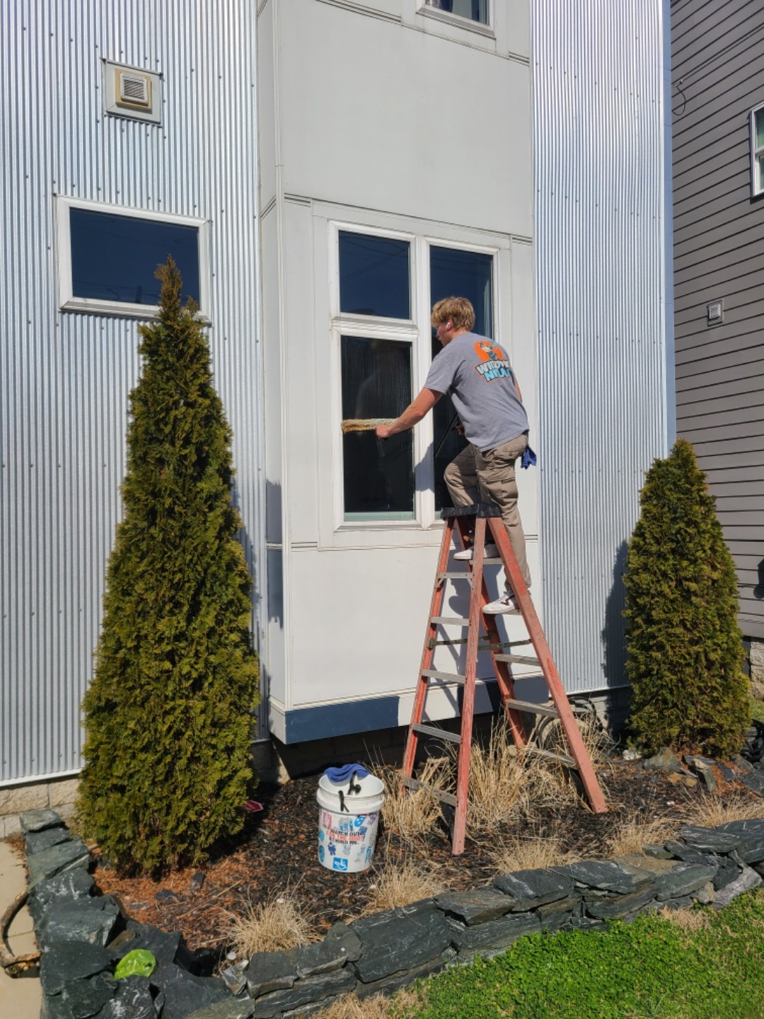 window cleaning Charlotte