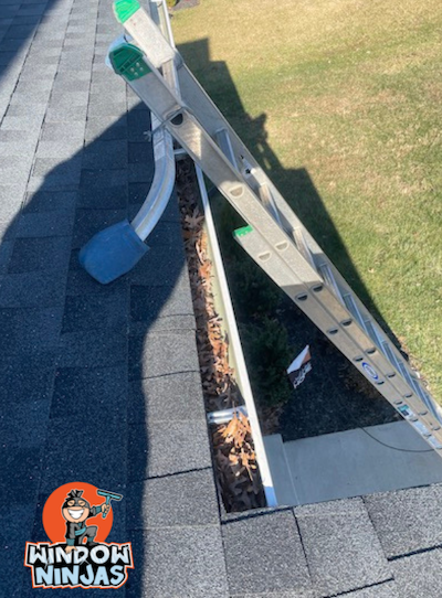 ladder to roof gutter cleaning