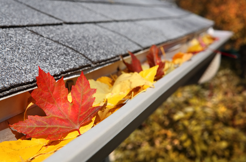 clogged gutters