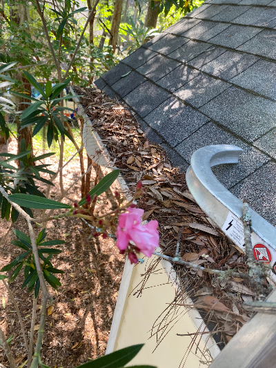 Charleston Gutter Cleaning