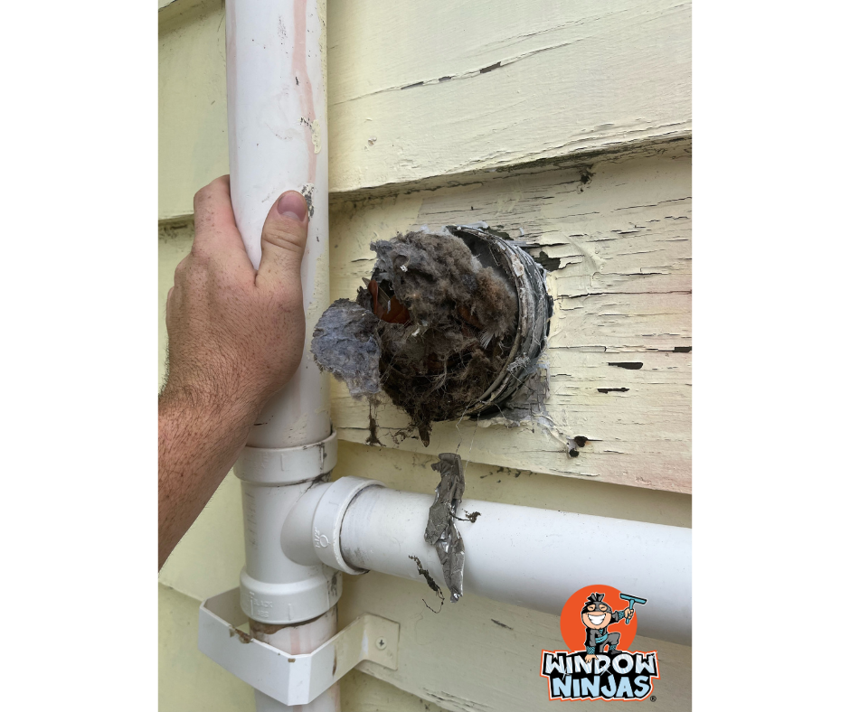 dryer vent cleaning