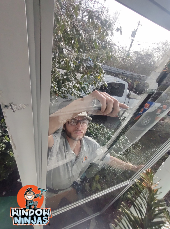 professional window cleaning