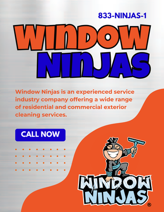 franchise with window ninjas