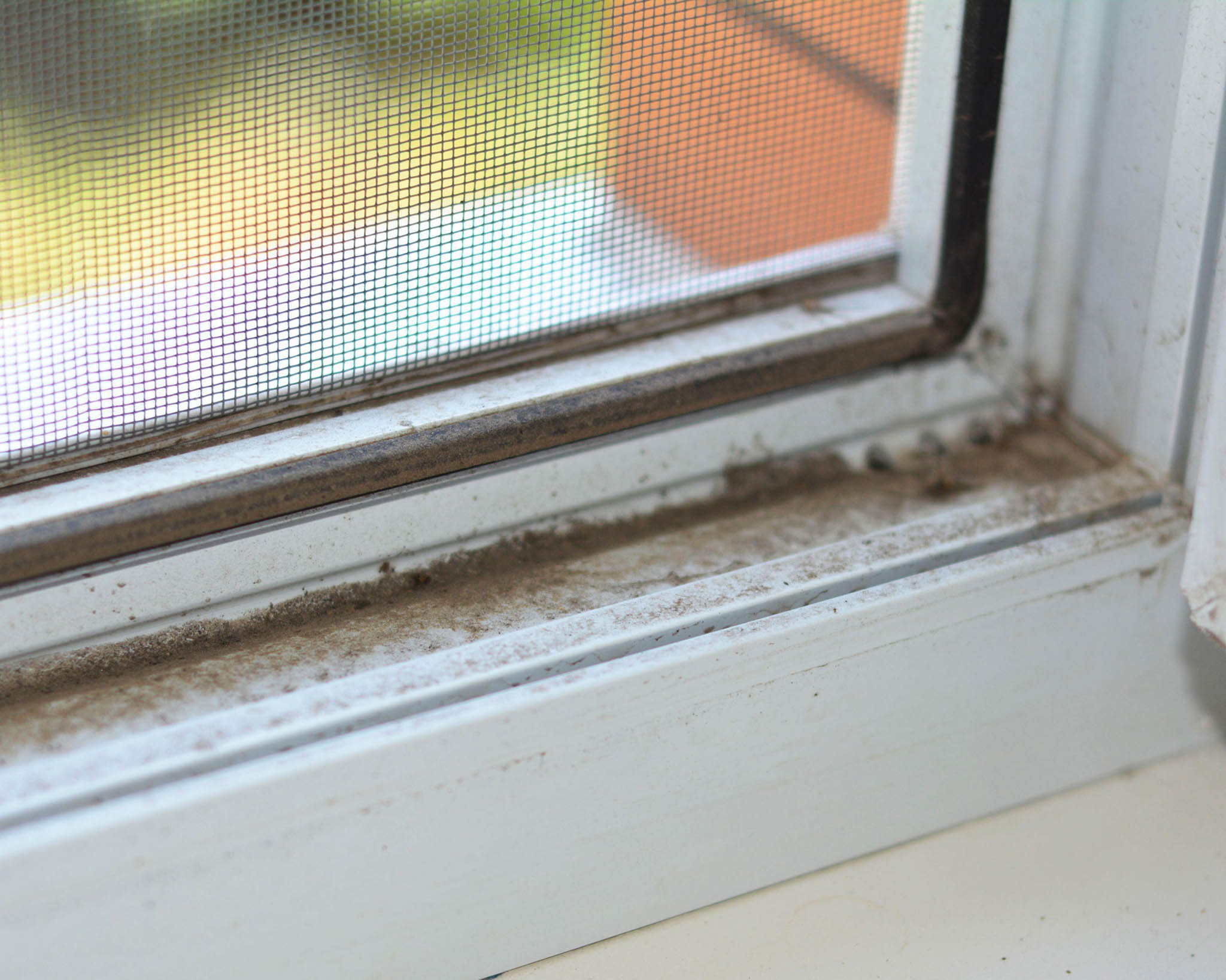 An image of a dirty window track.