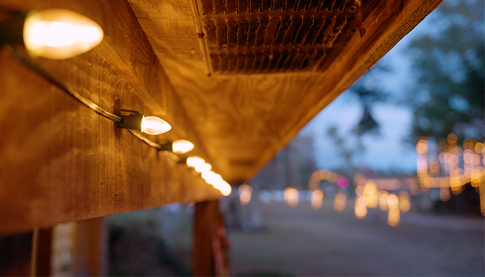 close up of light bulbs from window ninjas