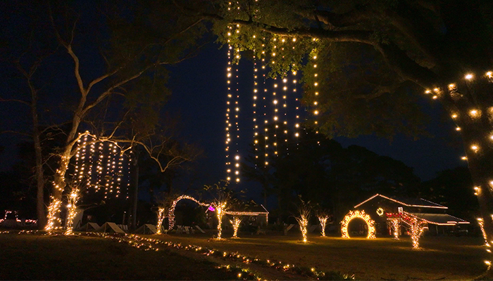 more hanging holiday lights by window ninjas