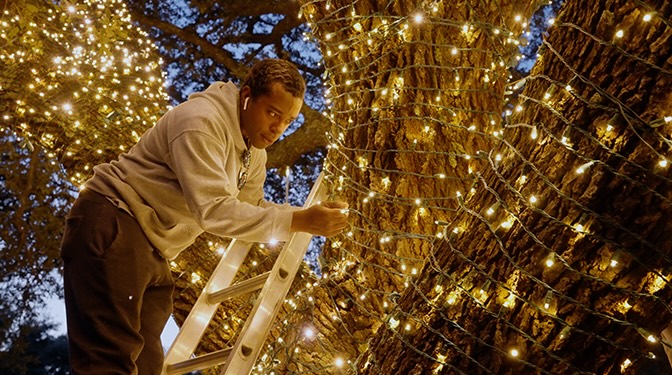 man putting holiday lights on tree