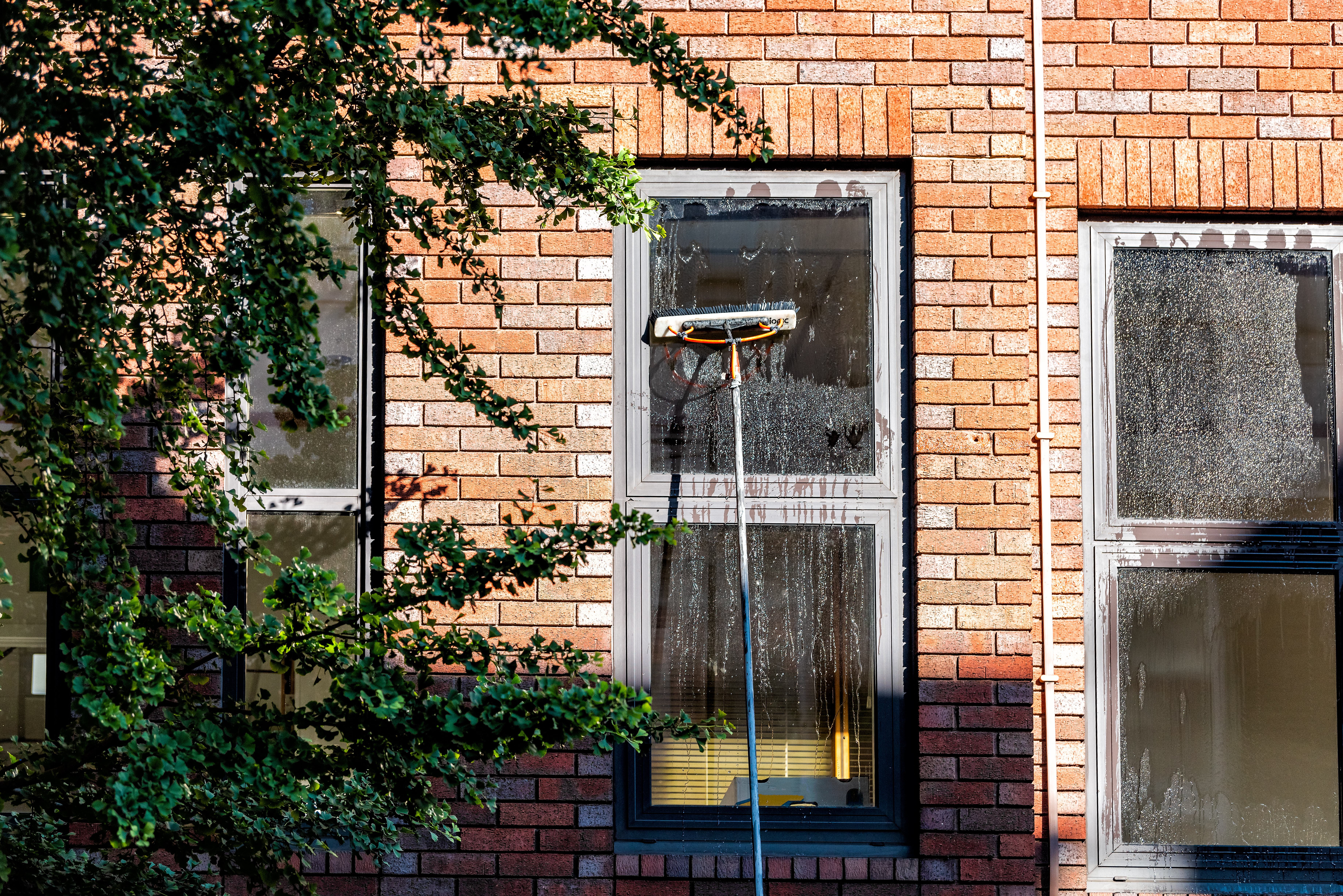 A commercial building with professional window washing services like those offered at Window Ninjas.