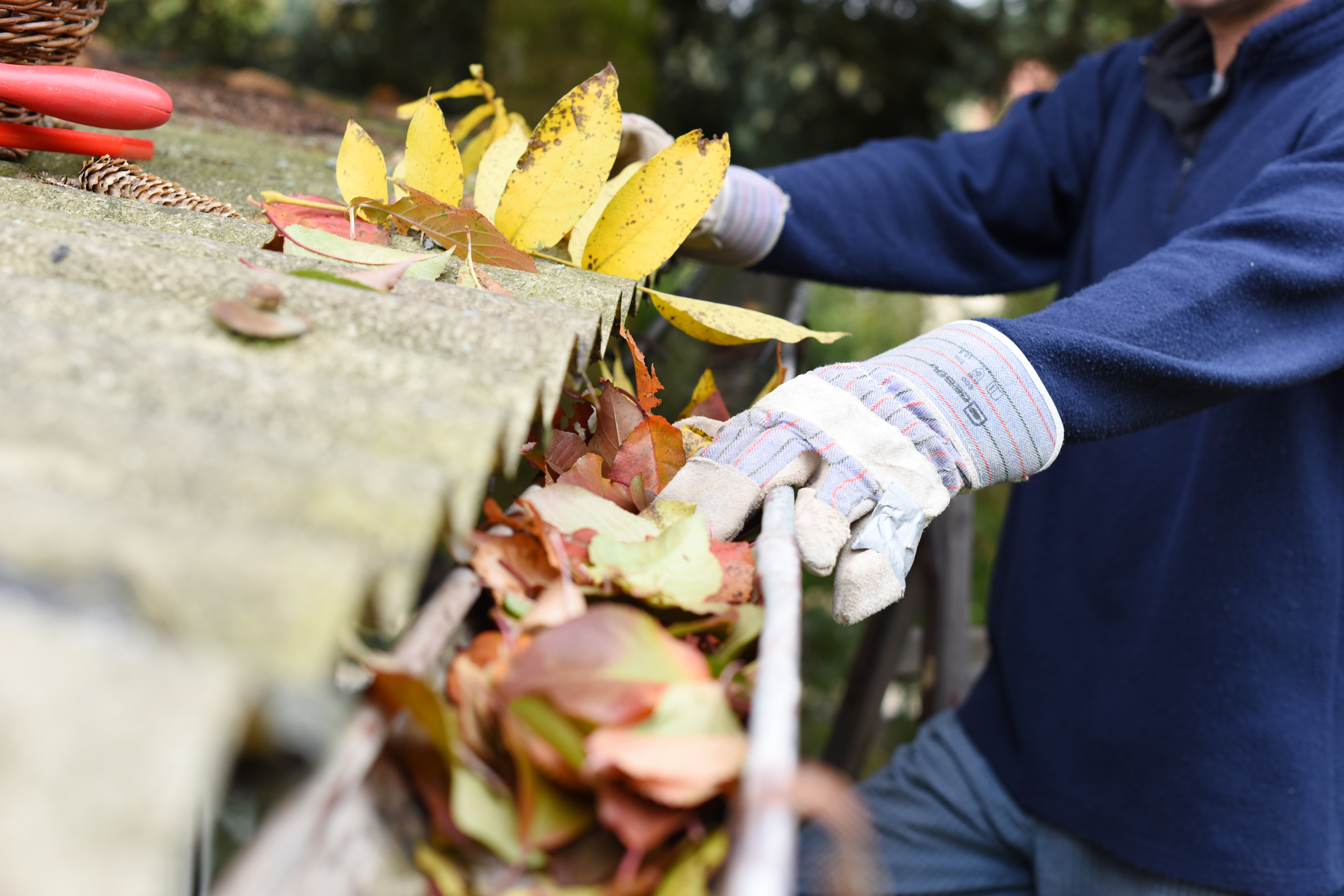 An image of someone cleaning out gutters - Window Ninjas offers the best gutter cleaning prices.