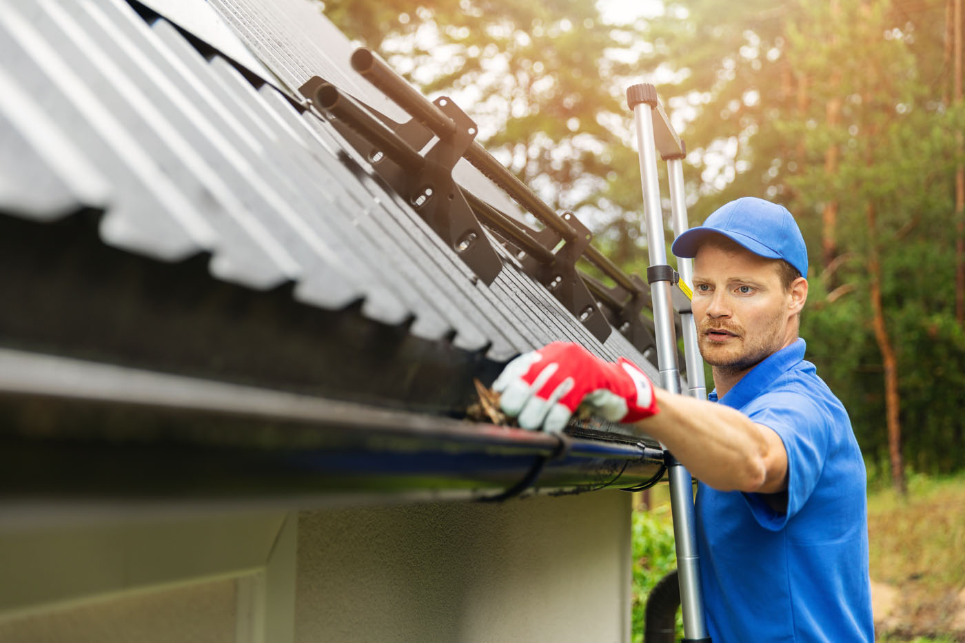 A Window Ninjas gutter cleaning technician expertly performing his job.