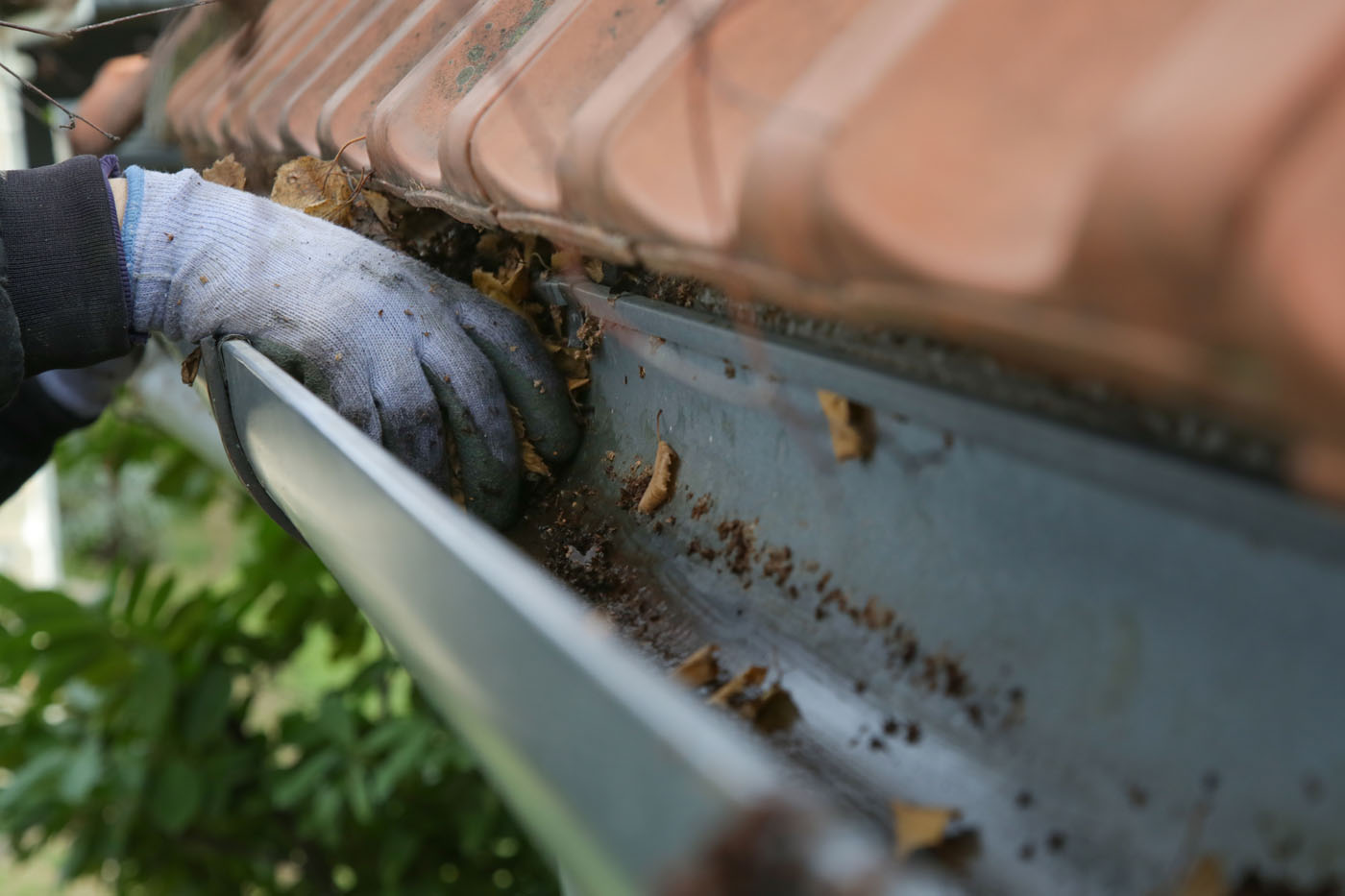 A person cleaning out gutters for a residential home - experience five star customer service with Window Ninjas and the best gutter cleaning!